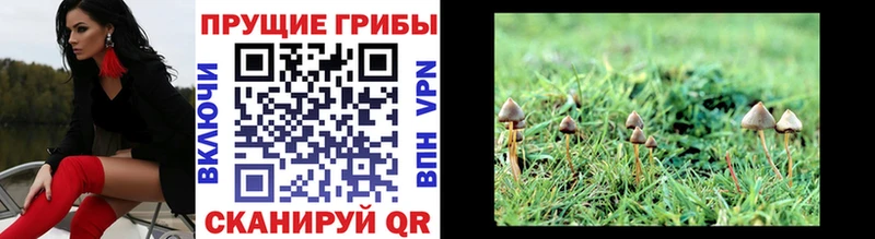 hydra зеркало Борзя Галлюциногенные грибы GOLDEN TEACHER